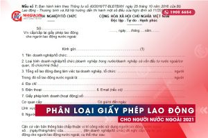 Phân loại giấy phép lao động